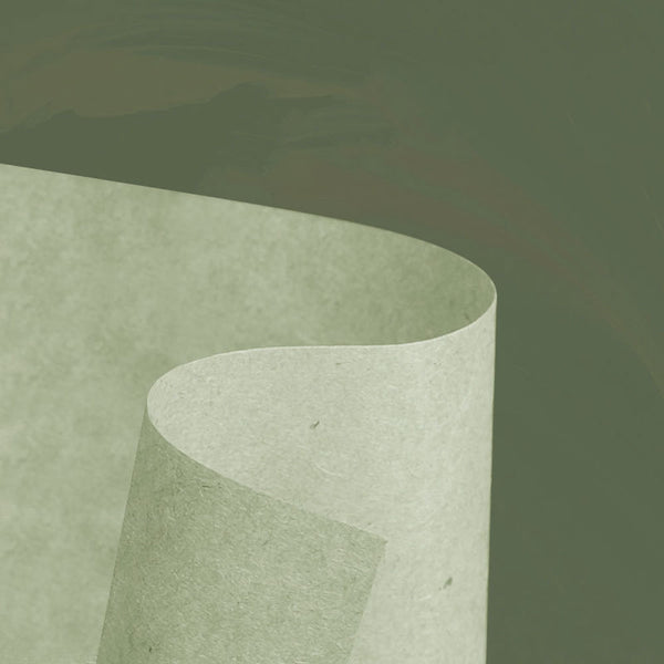 Feuilles matifiantes( 100 pièces)